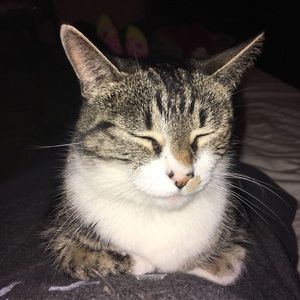 Meet your Posher, Elizabeth